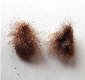  Seeds